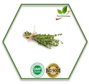 Red Thyme Essential Oil