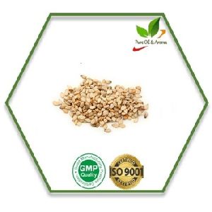 Sesame Carrier Oil