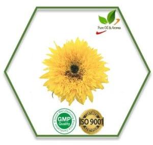 Sunflower Carrier Oil