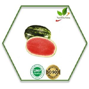 Watermelon Carrier Oil