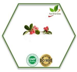 Wintergreen Essential Oil