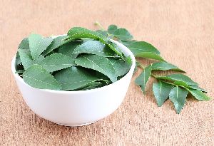 Green Curry Leaves