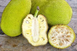 Fresh Jackfruit