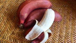 Red Banana