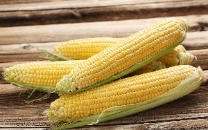 Yellow Corn