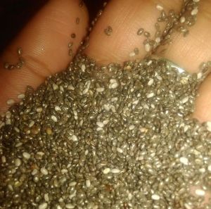 Chia Seeds