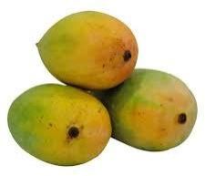 Fresh Kesar Mango