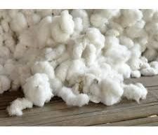 Indian Raw Cotton