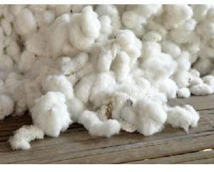 Indian White Raw Cotton