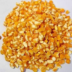 Maize(Corn)