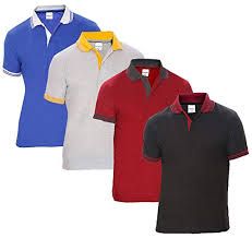 Men Multicolor Polo T Shirt
