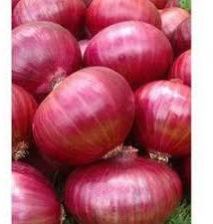 Natural Big Red Onion