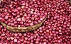 Organic Small Red Onion