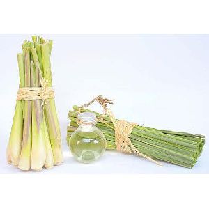 Fresh Lemongrass Oil