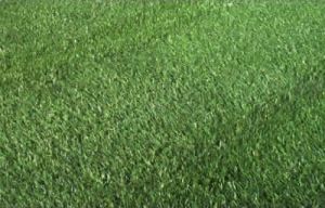 Vitofloor Artificial Turf