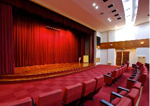 Auditorium Automated Horizontal Stage Curtains