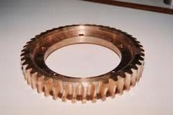 Bronze Worm Gear