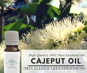 Cajeput Essential Oil