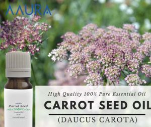 Carrot Seed Essential Oil