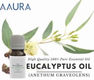 Eucalyptus Essential Oil