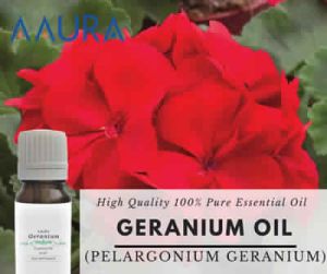 Geranium Essential Oil