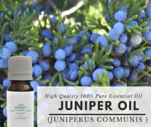 Juniper Essential Oil