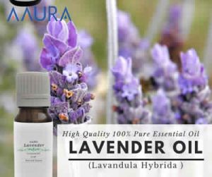 Lavender Essential Oil