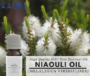 Niaouli essential oil