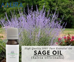 Sage Essential Oil