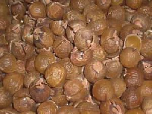 Soap Nuts (Ritha)