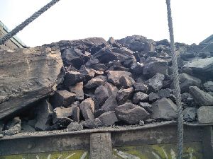 Coal