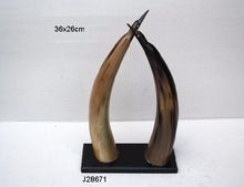 Buffalo Horn decoration set