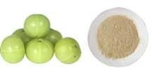 Freeze Dried Gooseberry Powder