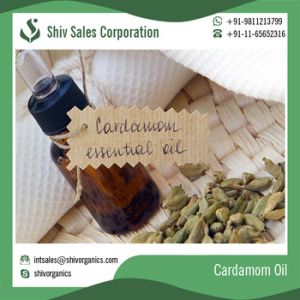 Cardamom Essential Oil