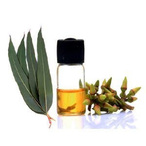 Eucalyptus Essential Oil