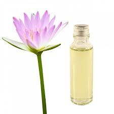 Lotus Essential Oil