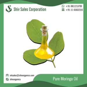 Moringa Seed Oil