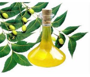 Neem Essential Oil