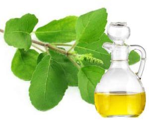 Panch Tulsi Oil