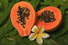 Papaya Extract