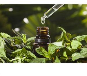 Peppermint Essential Oil