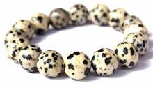 Dalmatian Jasper Gemstone