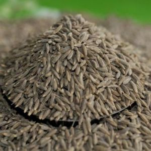 Cumin Seeds