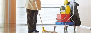 Mopping Services