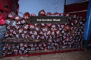 Red sandalwood