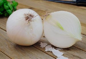 Fresh White Onion