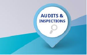 Audit & Inspection Services
