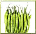 Green Chilli