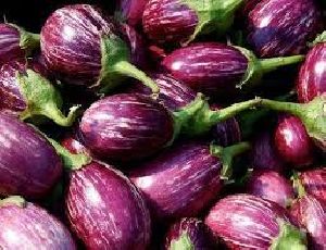 Fresh Brinjal