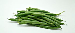 Fresh Green Beans